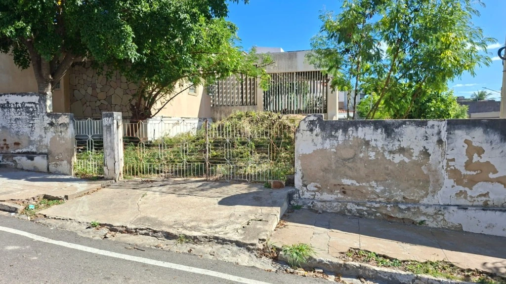 Coluna do Finfa