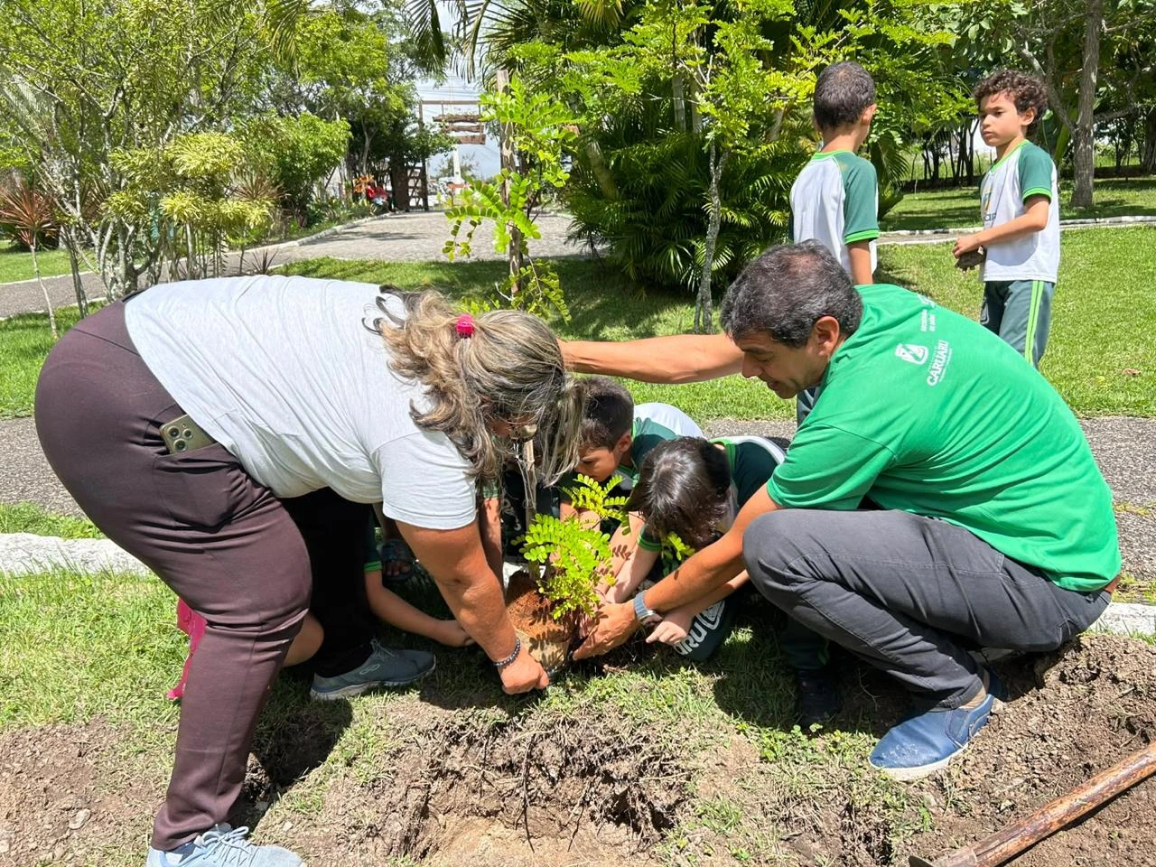 Caruaru fica em primeiro lugar no Nordeste em edital federal para arborização urbana e enfrentamento ao calor